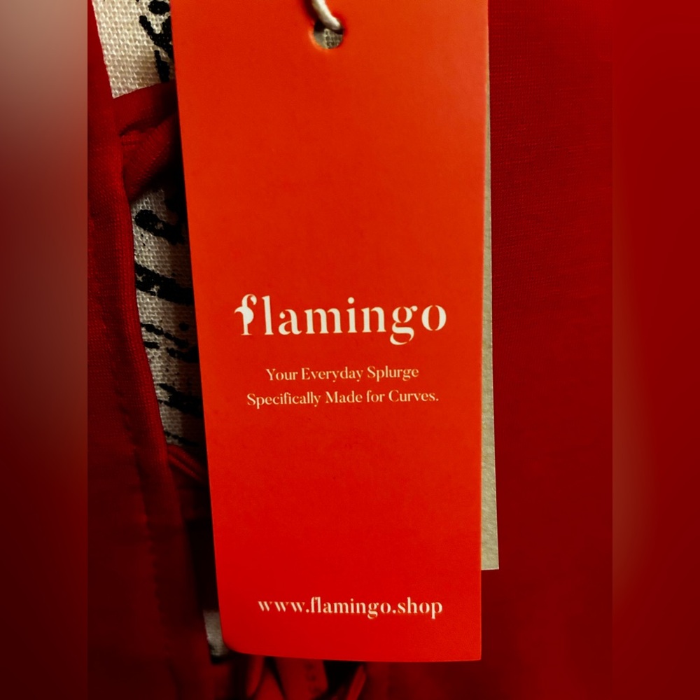 NWT Flamingo 🦩 Vibrant Red Lace Up Layered Ruffle Hem Short Mini Dress Size 2XL - Picture 7 of 13